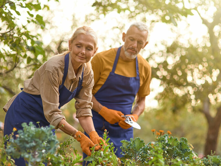 Community Garden at Harmony Place, 55+ community in Rutland, MA