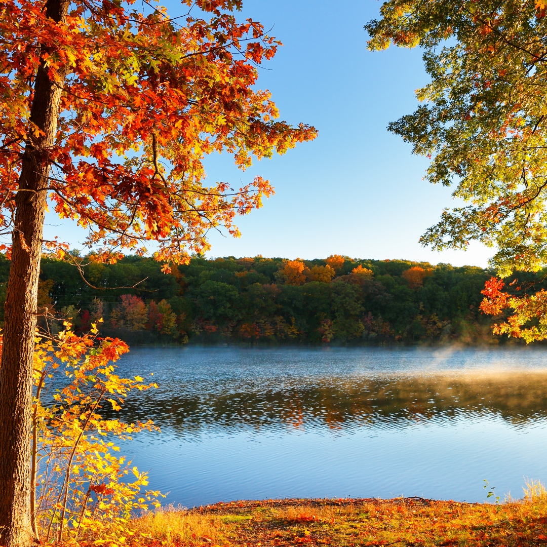 Wachusett Reservoir