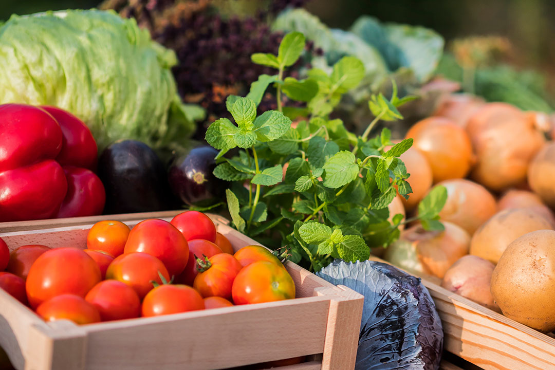 Farmers Market